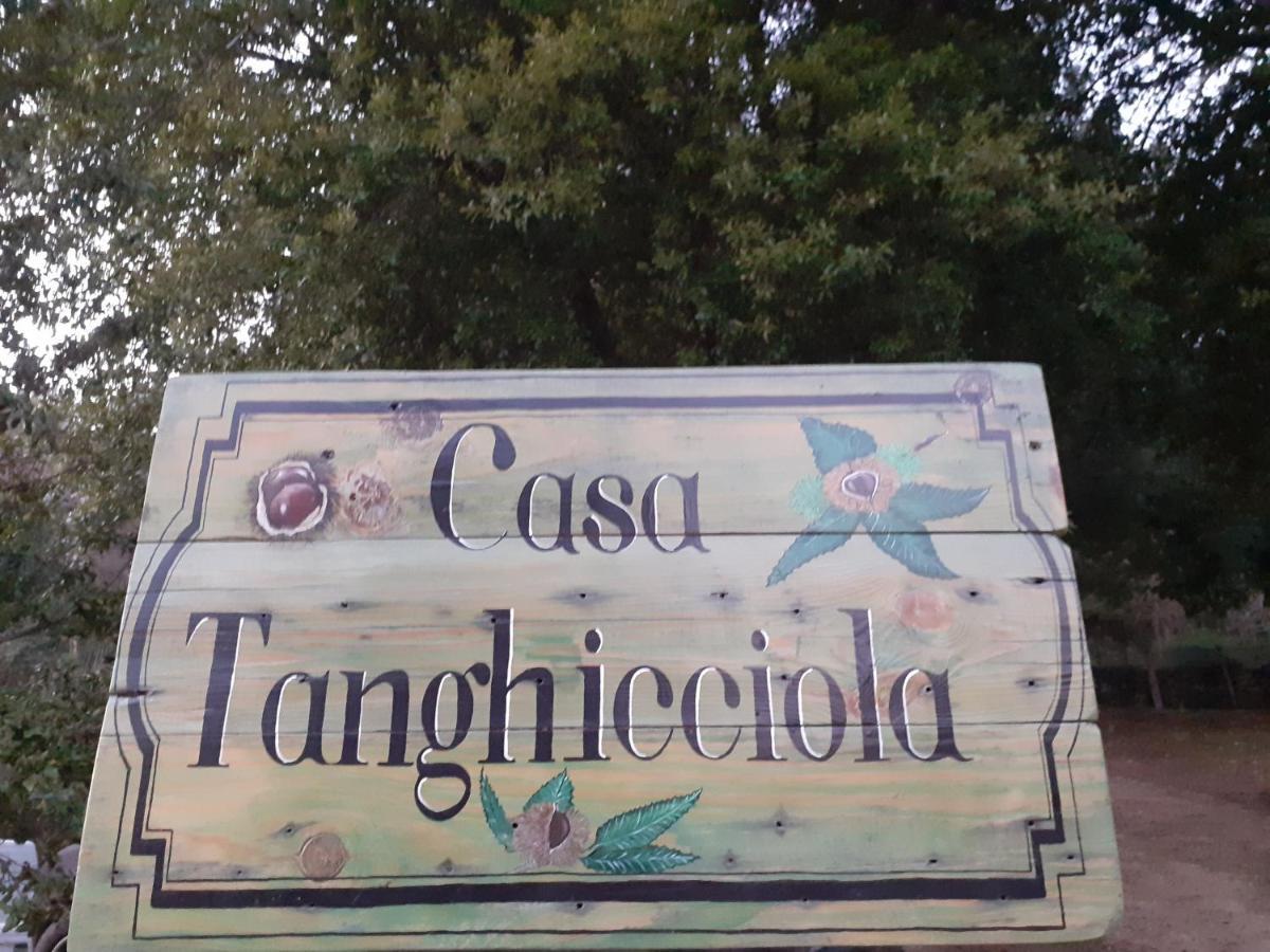 LevieCasa Tanghicciolaアパートメント エクステリア 写真